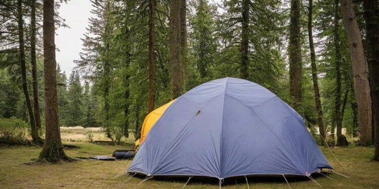 Kuppelzelt auf Zeltplatz (NF)