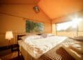 Glamping Zelte (depositphotos.com)