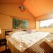 Glamping Zelte (depositphotos.com)